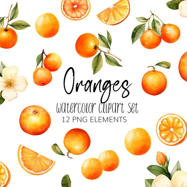 Watercolor Orange Clipart - PNG - Instant download