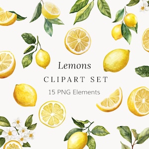 Lemon Clipart Set - PNG Graphics
