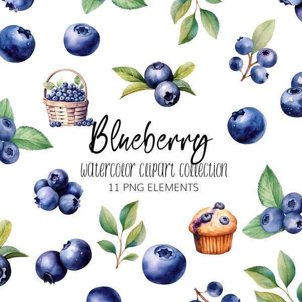 Watercolor Blueberry Clipart - PNG - Instant download