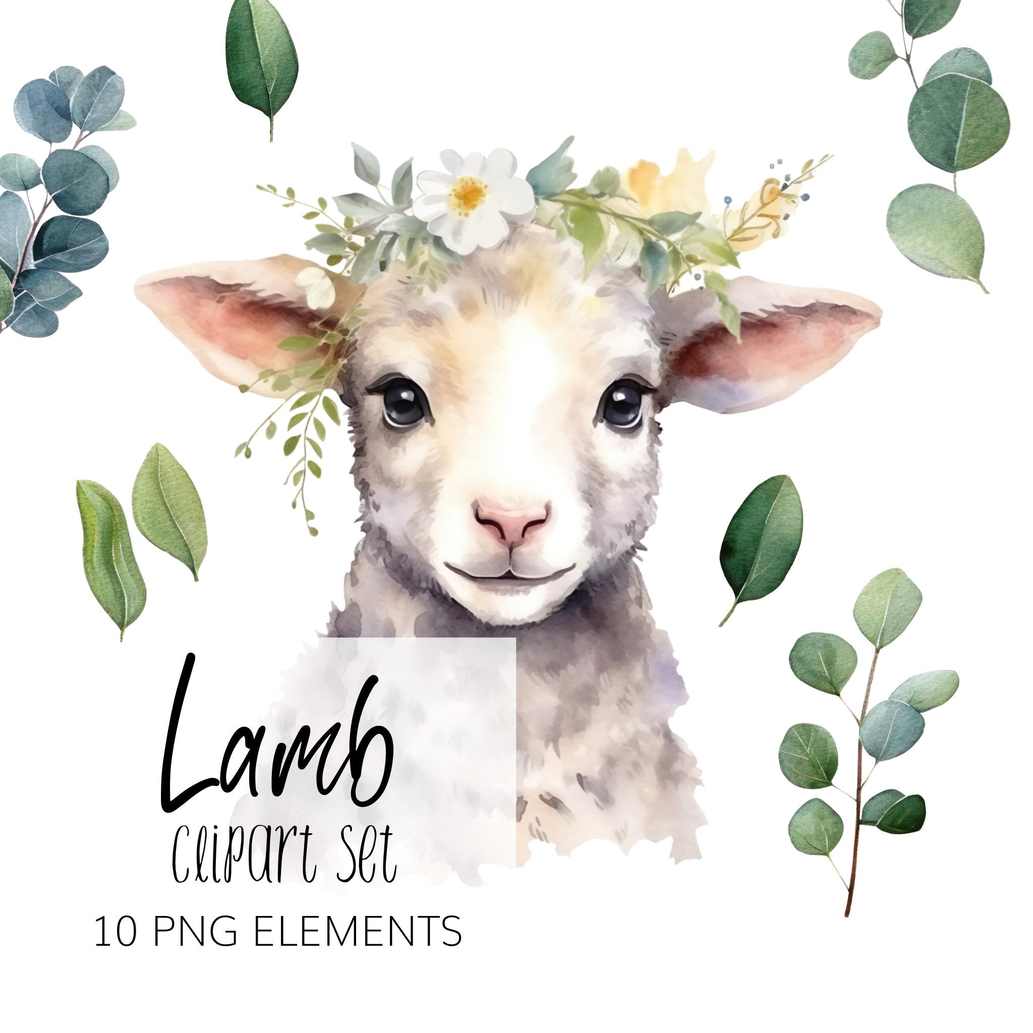 Watercolor Lamb Clipart Set PNG Instant Download - Etsy