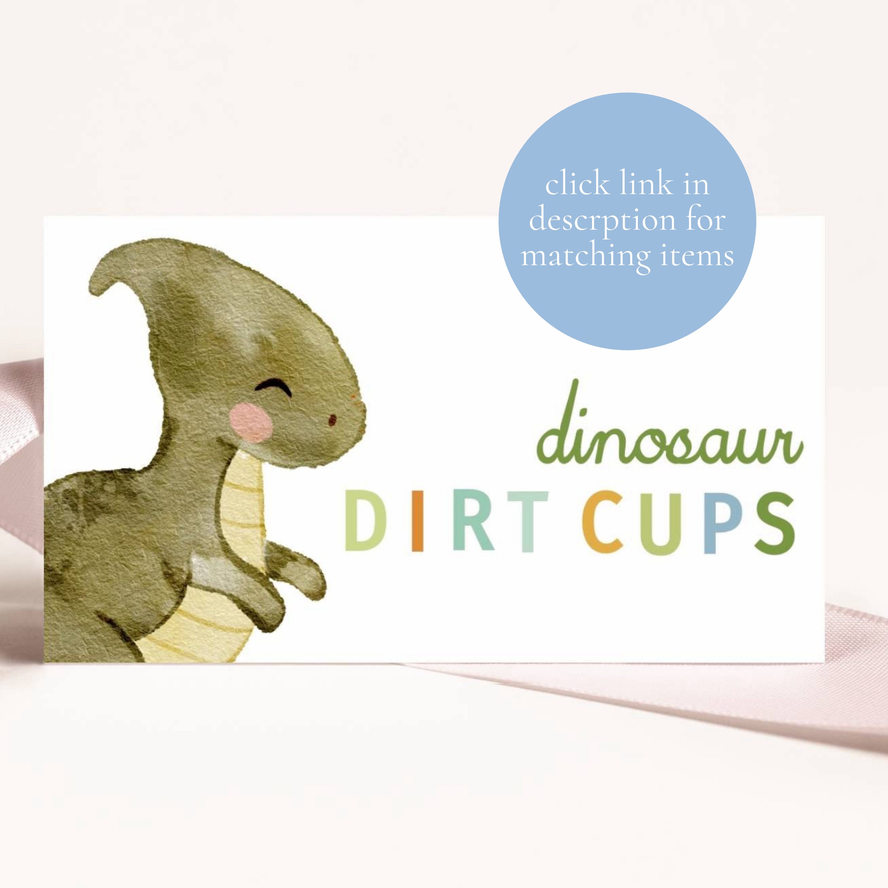 Dinosaur Birthday Party Favor Labels, Dinosaur Party Favor Tags