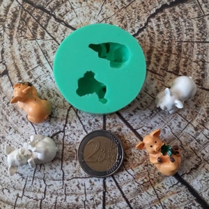 3D Silikonform Glücksschweinchen Schweinchen 2tlg / Silvester Dekoration Bastelform Fimo Gießform DIY