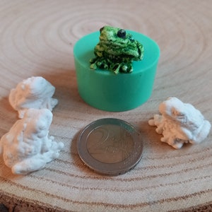 Könnte beinhalten: Drei kleine weiße Froschfiguren und eine grüne Froschfigur auf einer Holzoberfläche. Der grüne Frosch sitzt auf einer grünen Silikonform. Eine Silbermünze befindet sich in der Mitte des Bildes.