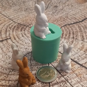 Könnte beinhalten: Eine Auswahl kleiner Hasenfiguren in Weiß und Orange, zusammen mit einer grünen zylindrischen Form. Eine Zwei-Euro-Münze dient als Größenvergleich. Die Hasen sind auf einer Holzoberfläche angeordnet, was auf ein Bastel- oder Dekorationsthema hindeutet.