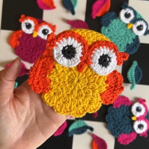 May include: A set of crocheted owl and leaf appliques in various colors, including yellow, orange, red, pink, teal, and blue. The owls have large, white eyes with black pupils.