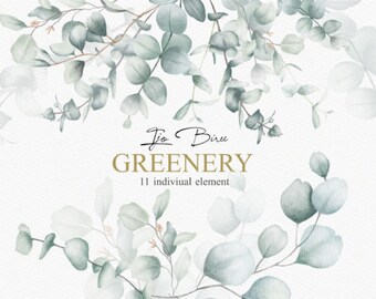 Watercolor Eucalyptus Clipart - Baby Blue Eucalyptus - Greenery Clipart ...