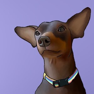 Custom Digital Pet Portrait (bust on solid background)