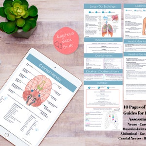 Health Assessment Study Guide Bundle - Head to Toe Assessment - Cardiac - Neuro - Abdominal - Skin - Lungs - Musculoskeletal -Nursing School