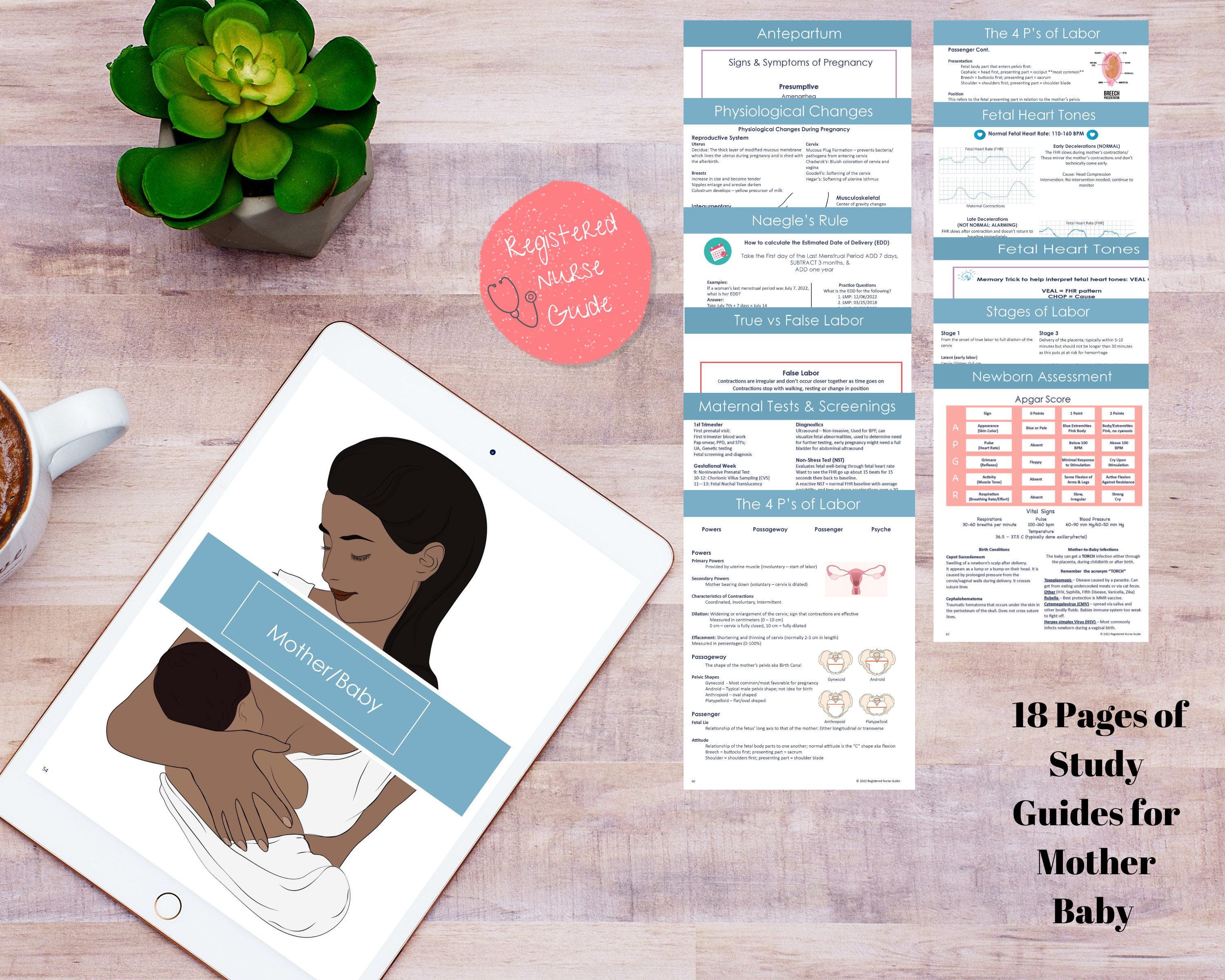 Mother Baby Study Guide Cheat Sheet Obstetrics Maternity for Nursing ...