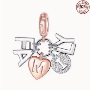 Op de afbeelding: Een zilveren armband met een hartbedel, een bedel met de letter 'M' en bedels met de letters 'F', 'A', 'M', 'I', 'L', 'Y' en het cijfer '1'.