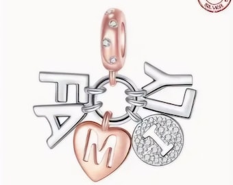 May include: A silver charm bracelet with a heart charm, a charm with the letter 'M', and charms with the letters 'F', 'A', 'M', 'I', 'L', 'Y' and the number '1'.