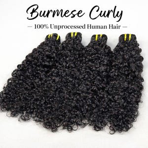 Può includere: Quattro ciocche di capelli umani non trattati Burmese Curly. I capelli sono di un nero intenso con ricci stretti e voluminosi. Il testo "Burmese Curly" e "- 100% Unprocessed Human Hair -" è visualizzato in nero.