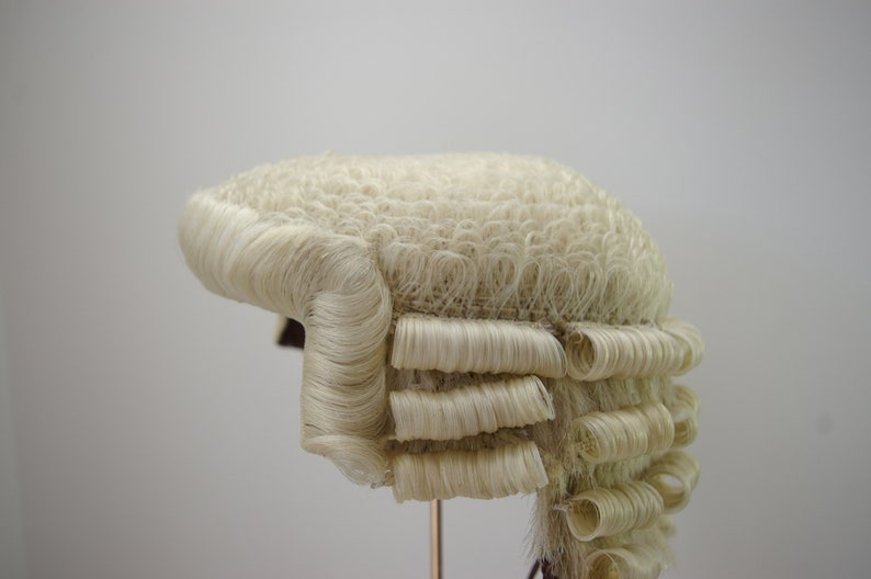 Traditional Barrister Wig in White/blonde Etsy UK