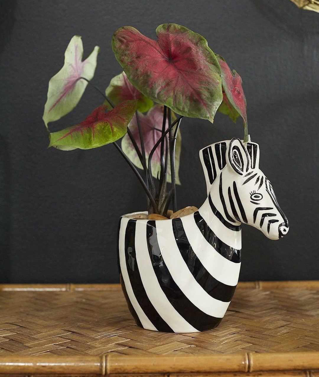 Zebby Zebra Pot Etsy