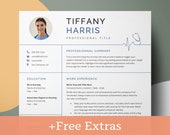 Student Nurse Resume, New Grad Nurse Resume Template Word, Nursing Student Resume, Google Docs Resume, LPN resume, New Nurse Resume