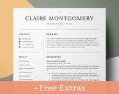 Simple Resume Template Minimalist, Professional Modern Google Docs Resume, Clean Resume Template Word, Basic CV Template, Curriculum Vitae