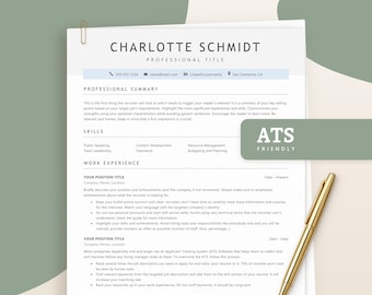 ATS Resume Template No Experience, First Job Resume Word, Entry Level CV Google Docs, Simple Student Resume Template, Instant Download