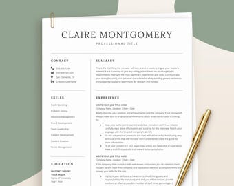 Simple Resume Template Minimalist, Professional Modern Google Docs Resume, Clean Resume Template Word, Basic CV Template, Curriculum Vitae
