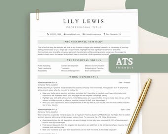 Executive ATS Resume Template for MS Word, Google Docs, 2 Pages Resume Template, Traditional Professional Resume Template, ATS Compliant Cv
