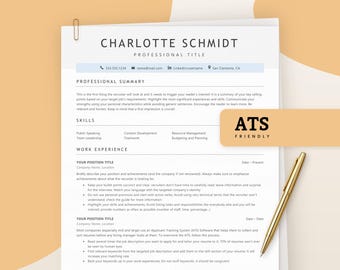 ATS Resume Template No Experience, First Job Resume Word, Entry Level CV Google Docs, Simple Student Resume Template, Instant Download