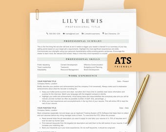 Executive ATS Resume Template for MS Word, Google Docs, 2 Pages Resume Template, Traditional Professional Resume Template, ATS Compliant Cv