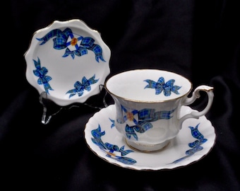 Bonbonnière Royal Albert 3 pièces, tasse et soucoupe pour la Nouvelle-Écosse, Canada. Garniture dorée avec tartan officiel et écusson provincial