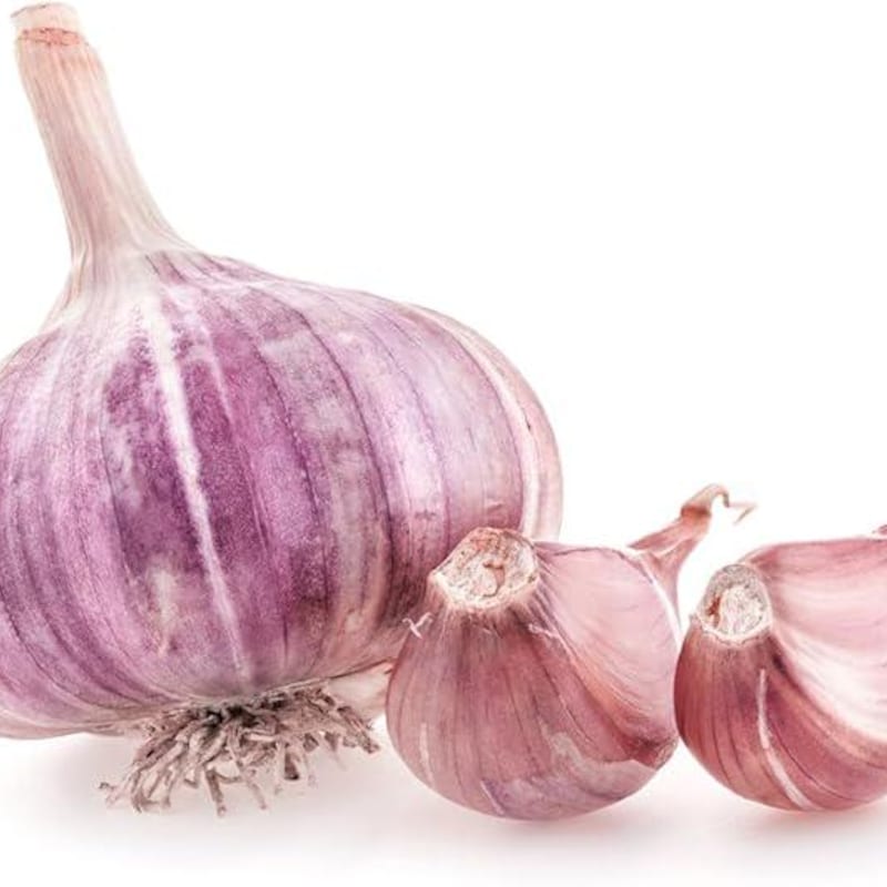 Fresh Purple Garlic Bulb - Etsy
