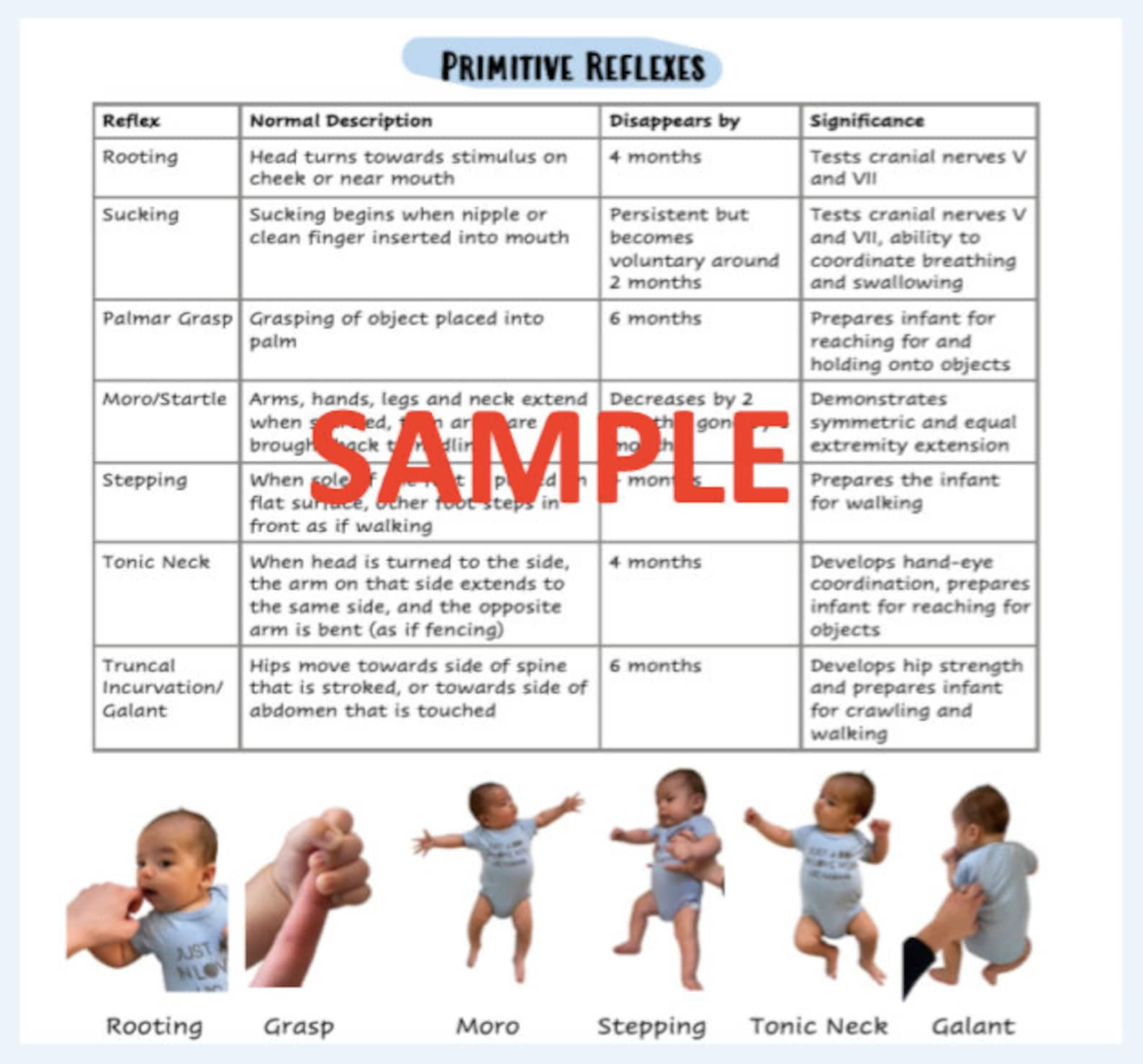 newborn assessment assignment