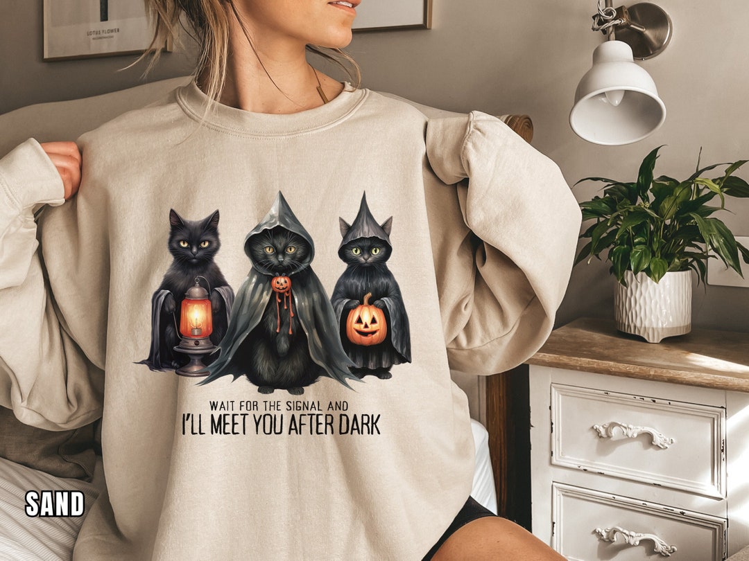 Wait for the Signal and I'lll Meet You After Dark, Willow Lyric Sweatshirt, Taylor Halloween