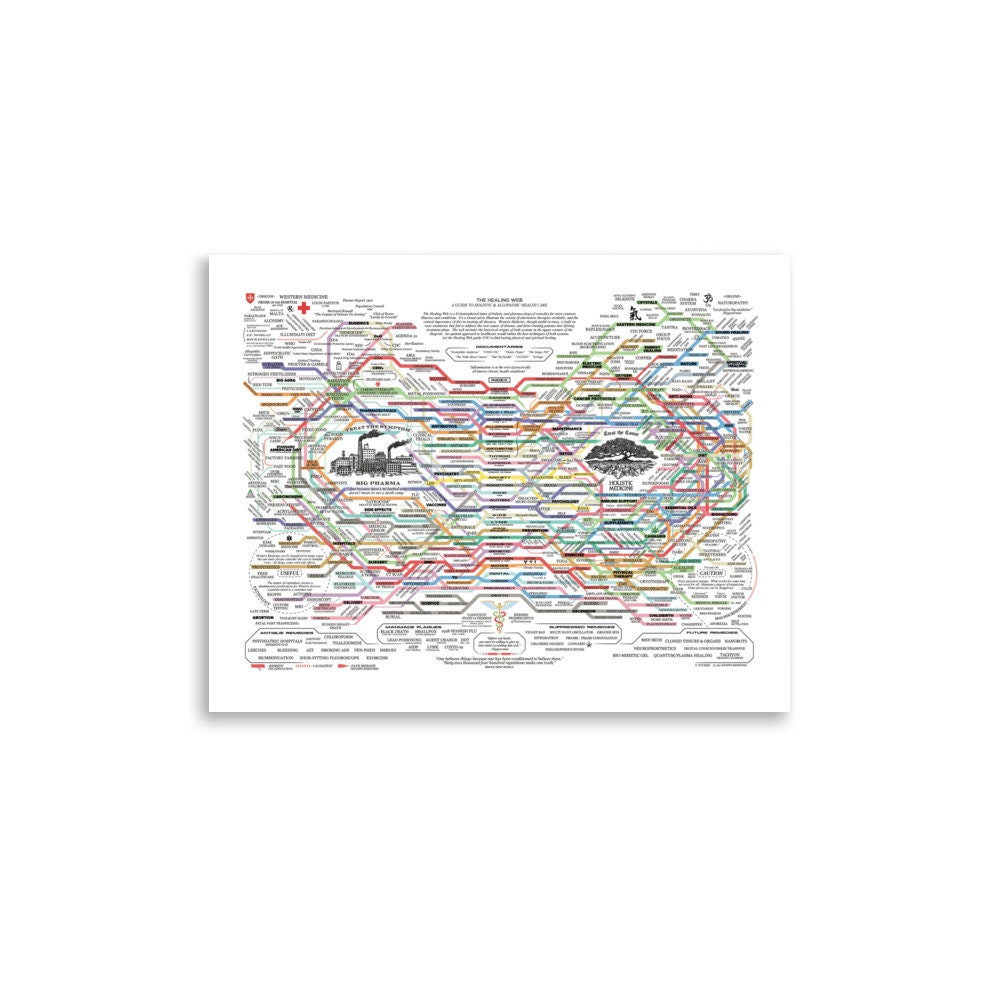 THE HEALING WEB Poster Holistic Healing Functional Medicine THE HEALING WEB Poster Holistic Healing Functional Medicine