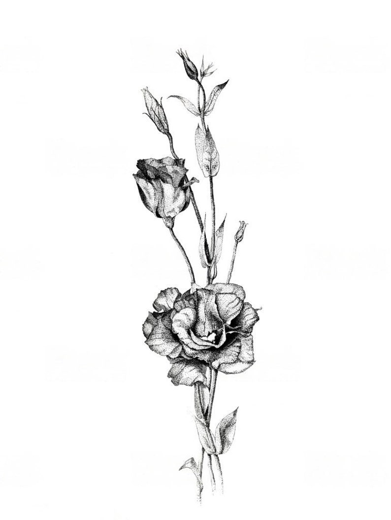 Digital Sketch Flower Digital Sketch Digital Download Digital Sketching