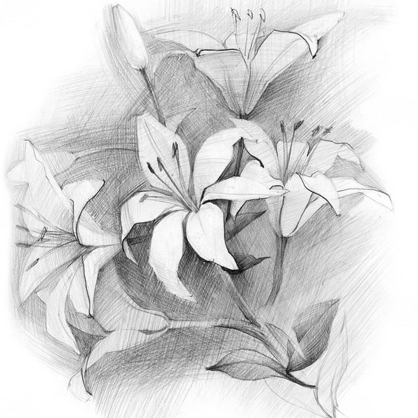 Digital Sketch Lotus Flower Digital Sketch Digital Download Digital Sketching Flower Line Sketching Digital Drawing