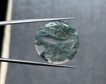 May include: A circular, translucent moss agate gemstone featuring intricate, fern-like green inclusions and small golden-colored flecks suspended within the clear, polished stone, held securely by a pair of silver-toned metal tweezers.
