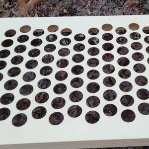 May include: A light-colored wooden board with numerous evenly spaced oval cutouts. The cutouts reveal a dark background. The board has a smooth surface and a rectangular shape. The words "Sensory Crafts" are printed on the bottom right corner.