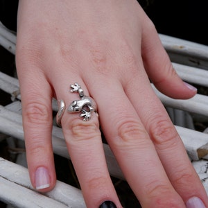 May include: A silver ring shaped like a gecko lizard with its tail wrapped around the finger.