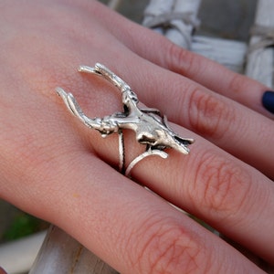 May include: A silver ring featuring a detailed deer skull design with antlers. The ring is worn on a finger.