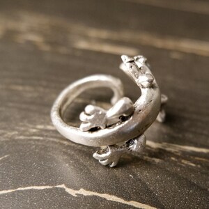 May include: A silver ring shaped like a curled up lizard. The ring is detailed with the lizard's legs and tail.