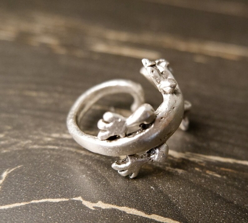May include: A silver ring shaped like a curled up lizard. The ring is detailed with the lizard's legs and tail.
