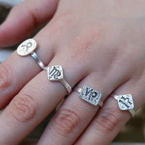 HOROSCOOP DIERENRIEMRING - Sterrenbeeld Ring • Ringen voor vrouwen • Minimalistisch • Astrologie Ring • Horoscoop Sieraden • Sierlijke Ring • QDH1