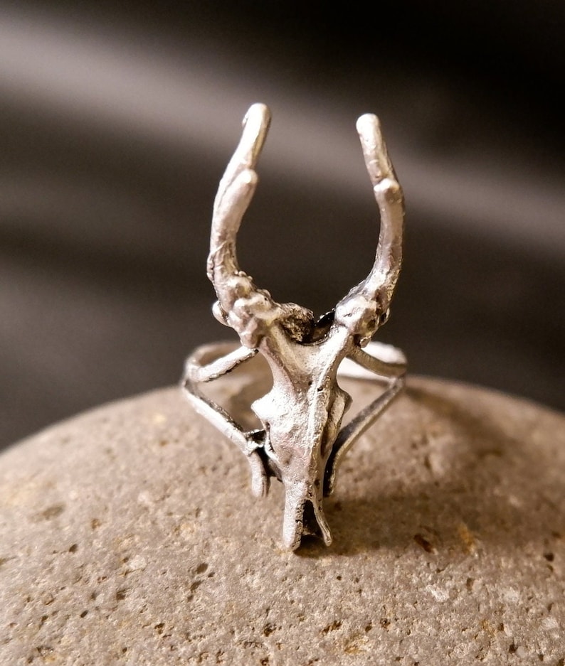 May include: A silver ring with a deer skull design. The antlers are curved upwards and the skull is detailed.