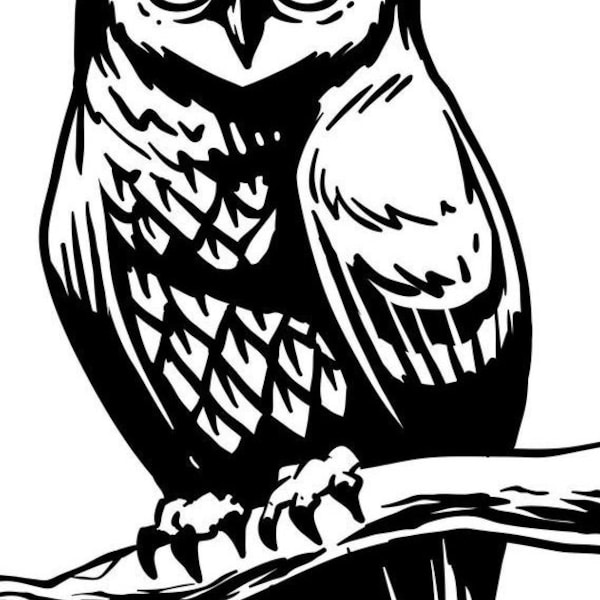 owl vinyl decal decor car van bonnet vinyl side sticker hood vinyl graphic sign motorhome campervan wall art