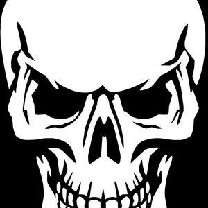 large skull camper van car bonnet side sticker decal  graphic wall art van lorry door decor