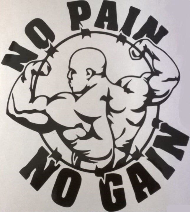 Large 23x23 the Gym Decal Sign No Pain No Gain Vinyl Sticker Decal Wall ...