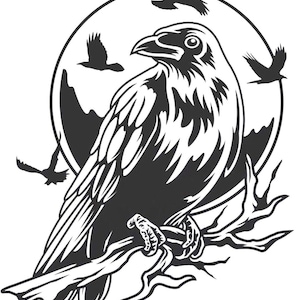 hawk eagle head car bonnet side sticker decal wall art decal vinyl graphic window door body panel van decor sign bird of prey