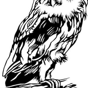 owl vinyl decal decor car van bonnet vinyl side sticker hood vinyl graphic sign motorhome campervan wall art