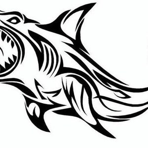 haai sticker haai sticker muur kunst decal auto van bonnet vinyl zijkant sticker kap vinyl grafische raam van teken camper campervan