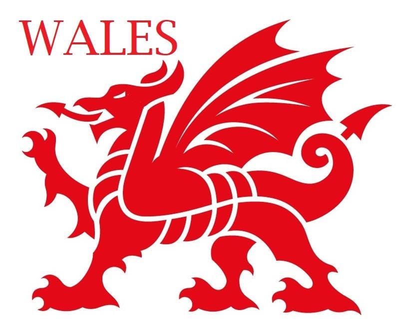 Welsh Dragon Decal Wales Sticker Vinyl Car Bonnet Side Sticker Decal ...