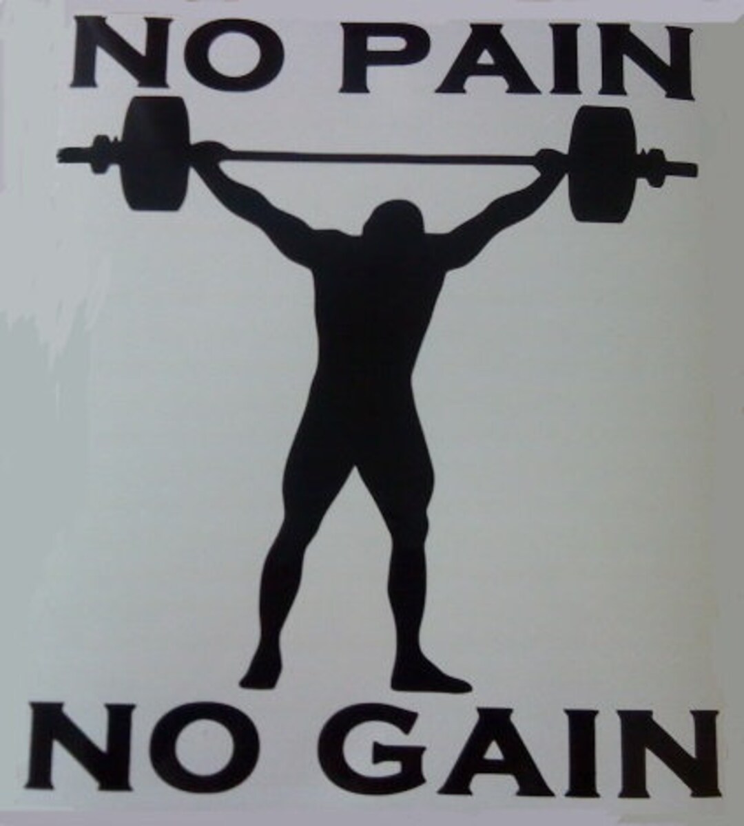 Gym Decal No Pain No Gain Decor Vinyl Sticker Graphic Sign Wall Art ...