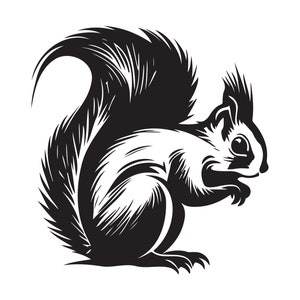 Pode incluir: Ilustração em preto e branco de um esquilo com uma cauda espessa. O esquilo está virado para a direita e tem um olho grande e redondo.
