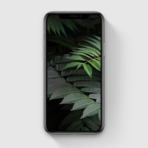 Botanical iPhone Wallpaper, Tropical Plant iPhone Background, Green Plant Phone Wallpaper, Minimalist Photography, Digital Download